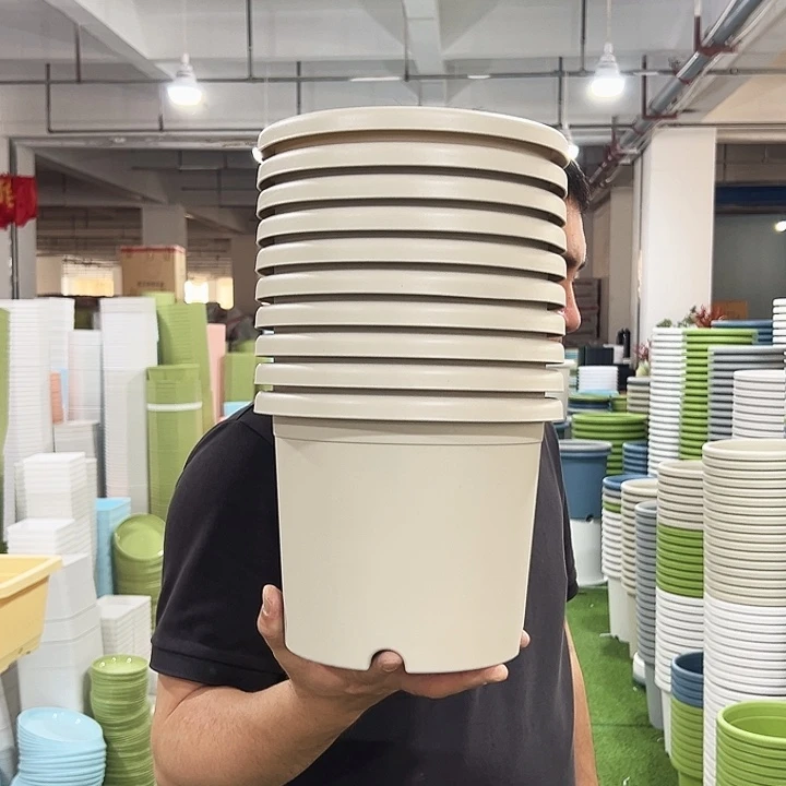 特价3号四季口21高17米色10个无托