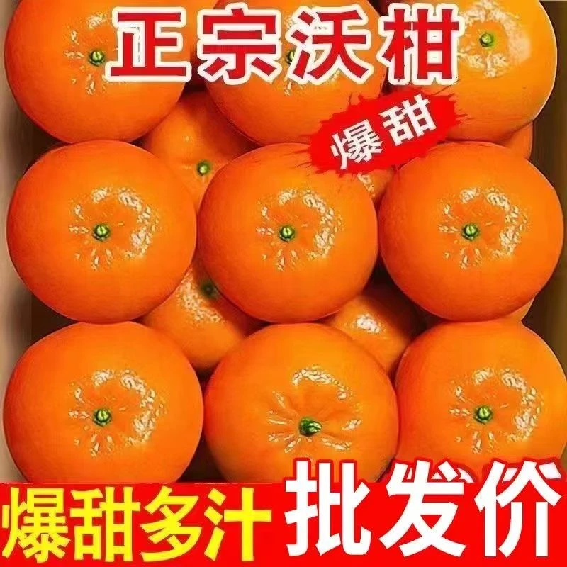 新鲜应季水果广西武鸣产地直发正宗沃柑皮薄鲜嫩脆爽香甜爆汁