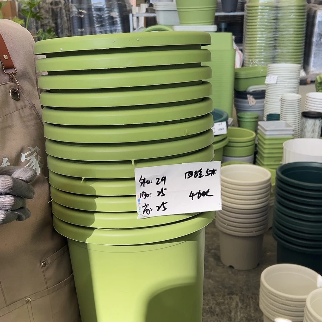 四季盆5#果绿色6个无托