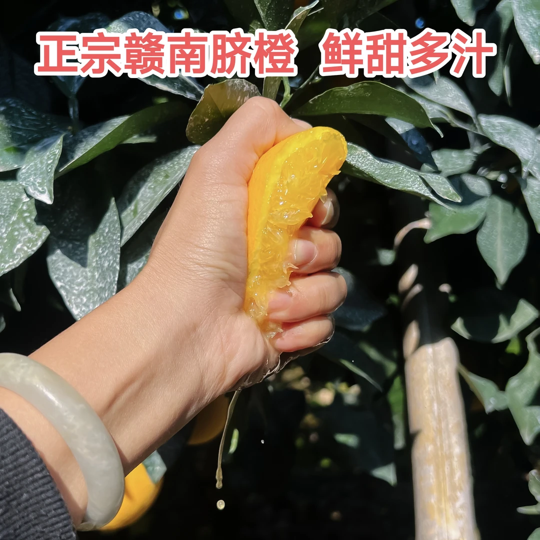 （顺丰）赣南脐橙江西橙子应季新鲜采摘香甜爆汁10斤、20斤果园直发