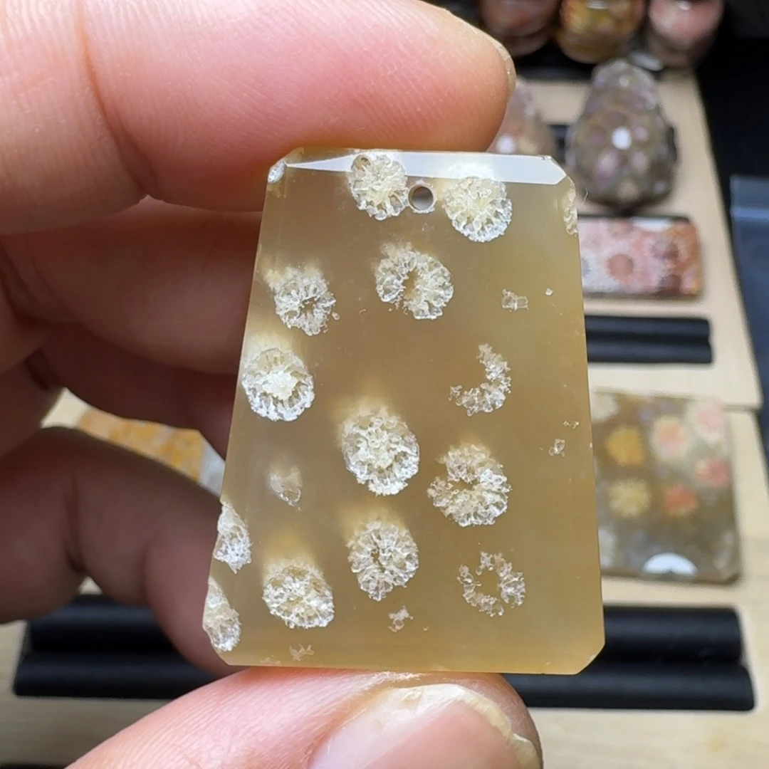 硅化珊瑚（珊瑚玉）未镶嵌纯天然色有机玉石保真色