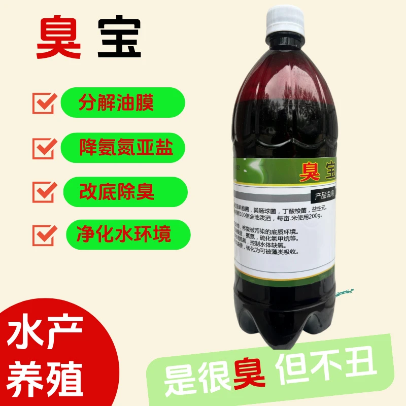 臭宝 水产养殖分解油膜 液体改底菌 粪肠球菌 养鱼南美白对虾养殖
