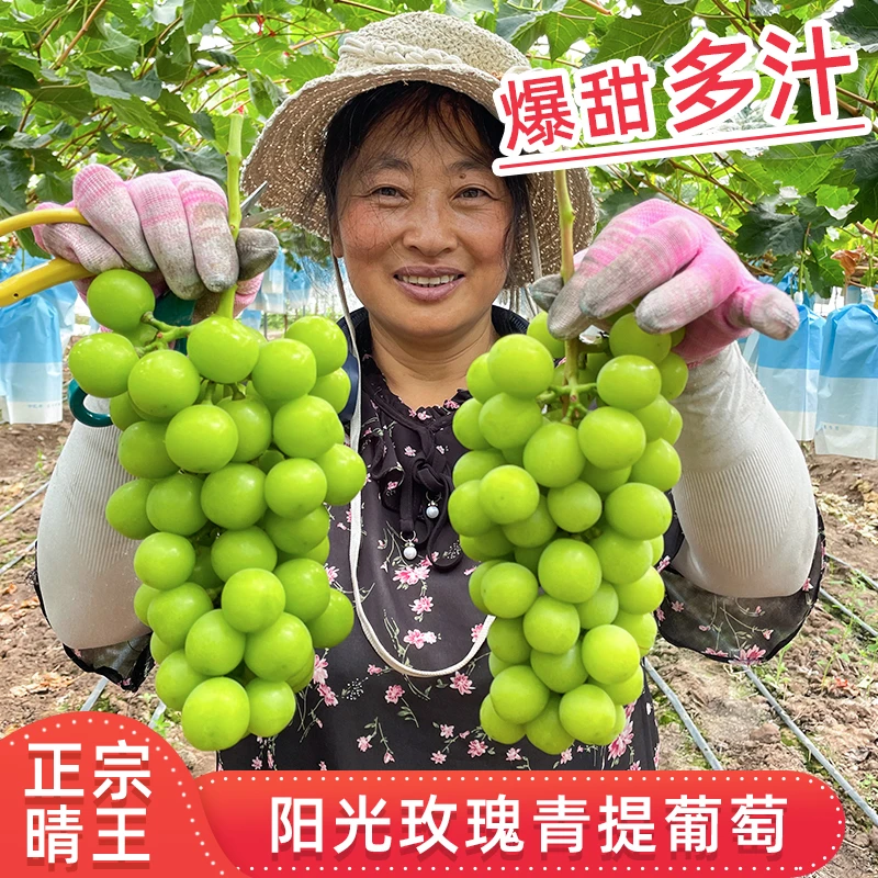 云南高山新鲜阳光玫瑰葡萄脆甜无籽香甜多汁应季水果汁水充足