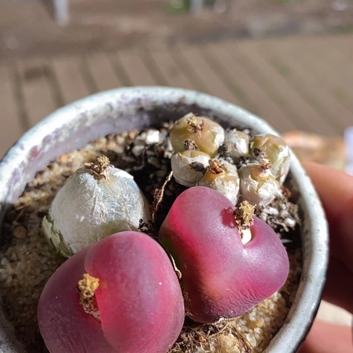 12225有伤一组一组