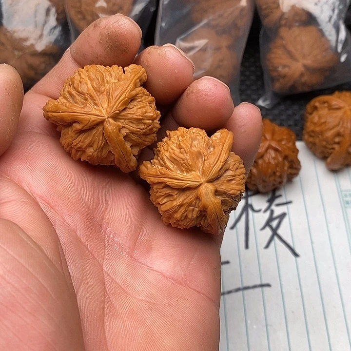 把件核桃拼接白狮子1