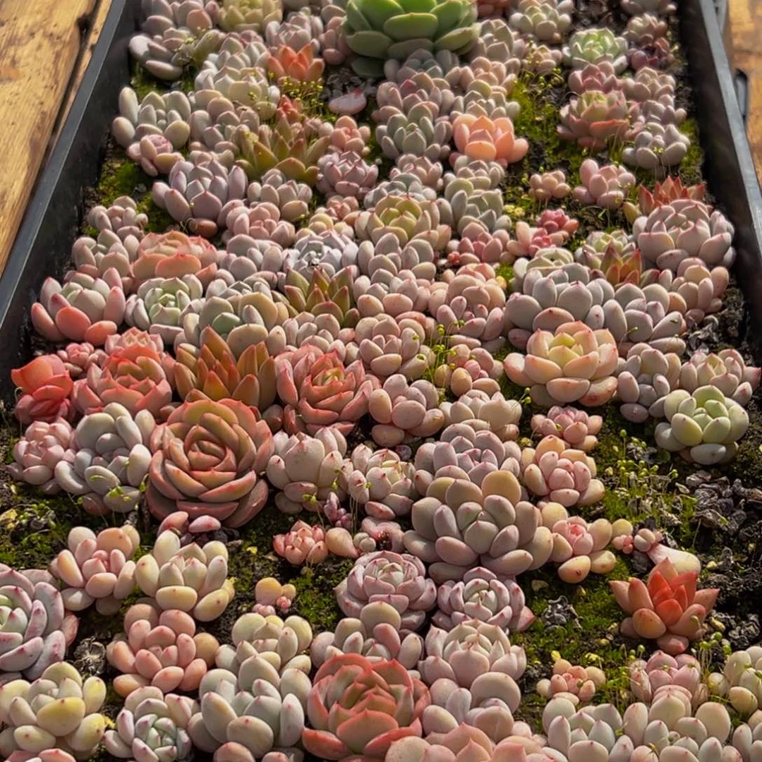 409大热的一天从早上开始到晚上都