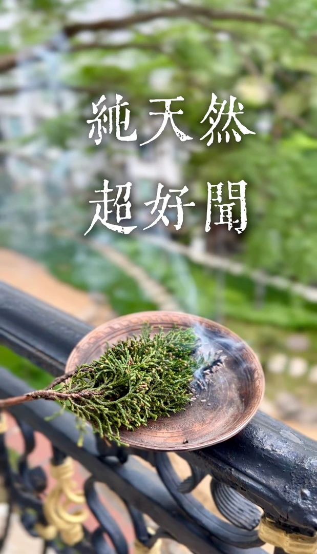 藏香柏雪域高原净化居家天然养水晶煨桑藏香净宅除秽改善失眠