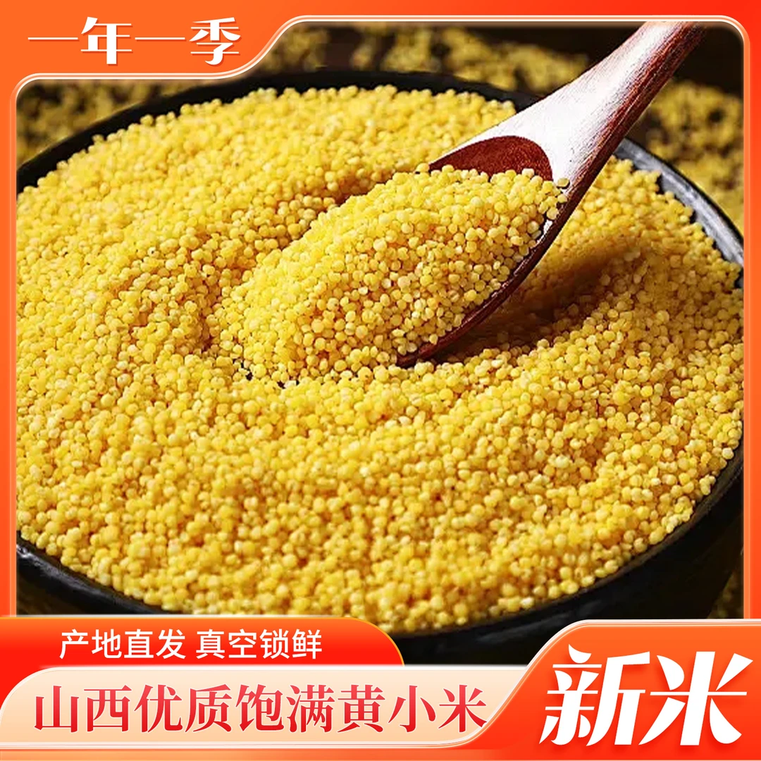 山西新米晋谷黄小米优质新米正宗山区黄小米500g/包 真空包装