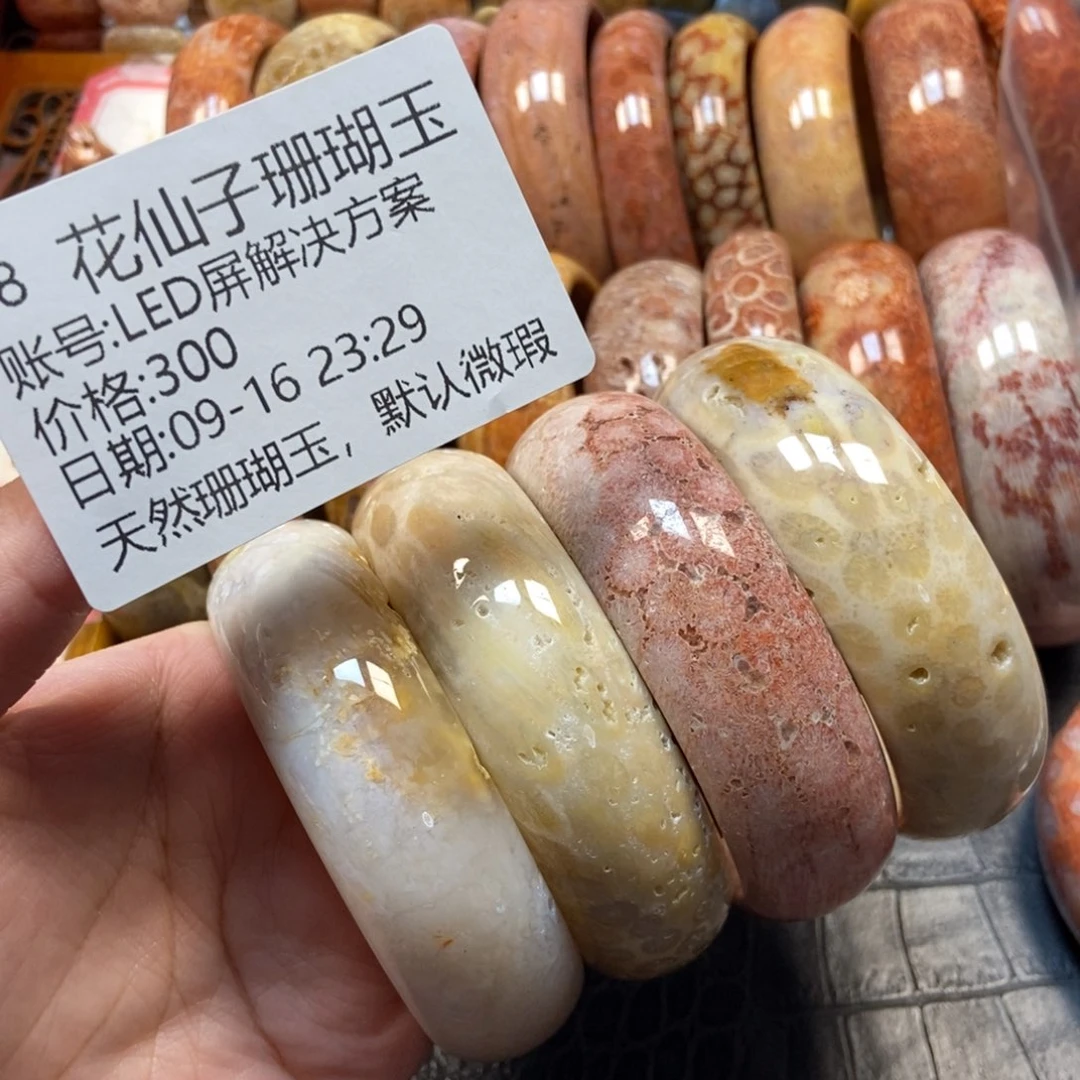 L***案未镶嵌硅化珊瑚（珊瑚玉）珠宝半成品68