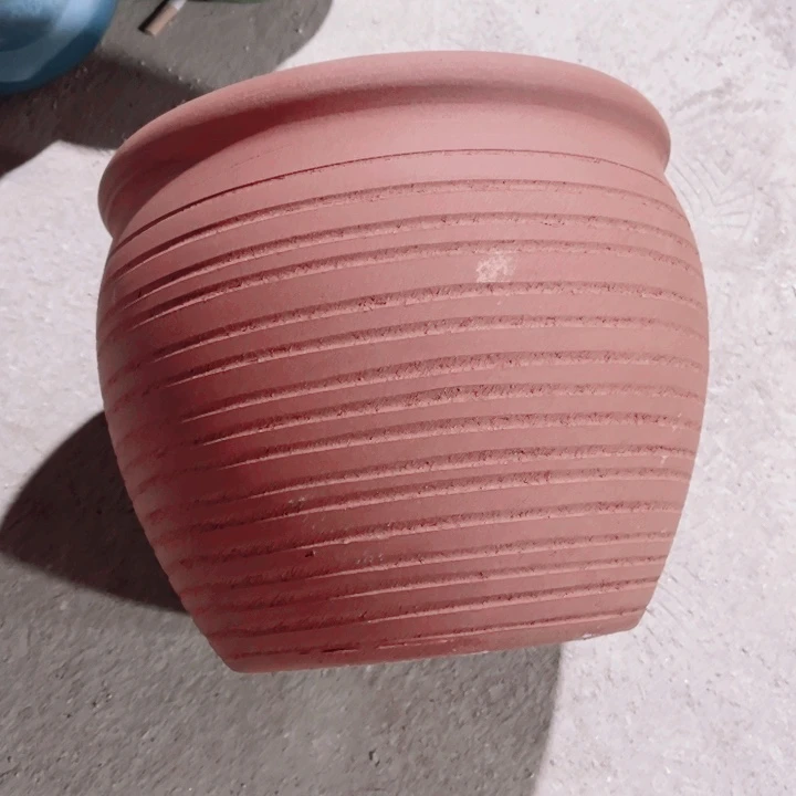 口径29高度25一只正品