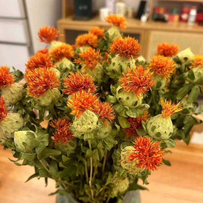 【橙菠萝】丨包邮丨水养开花丨可做干花丨2025年鲜花丨干养