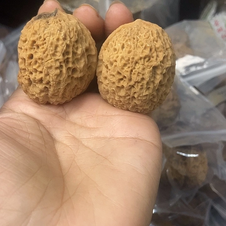 文玩核桃把件云南铁核桃基地55