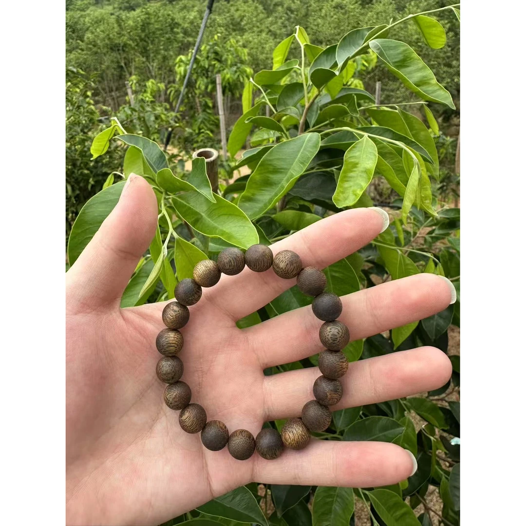 沉香【央博精选】高山老料原母树1.0圆珠单圈