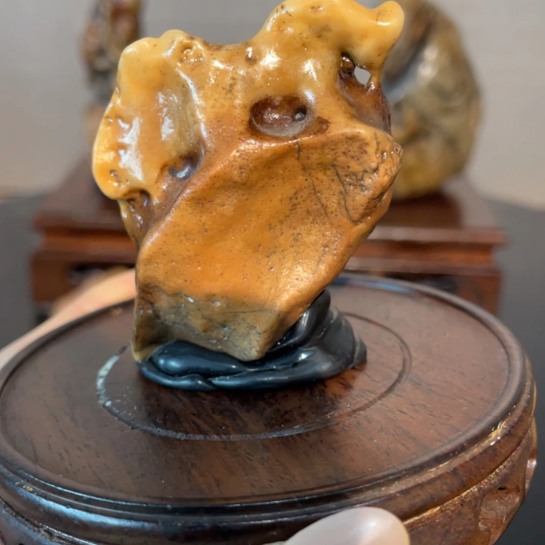 【闪购商品】玩**心天马行空