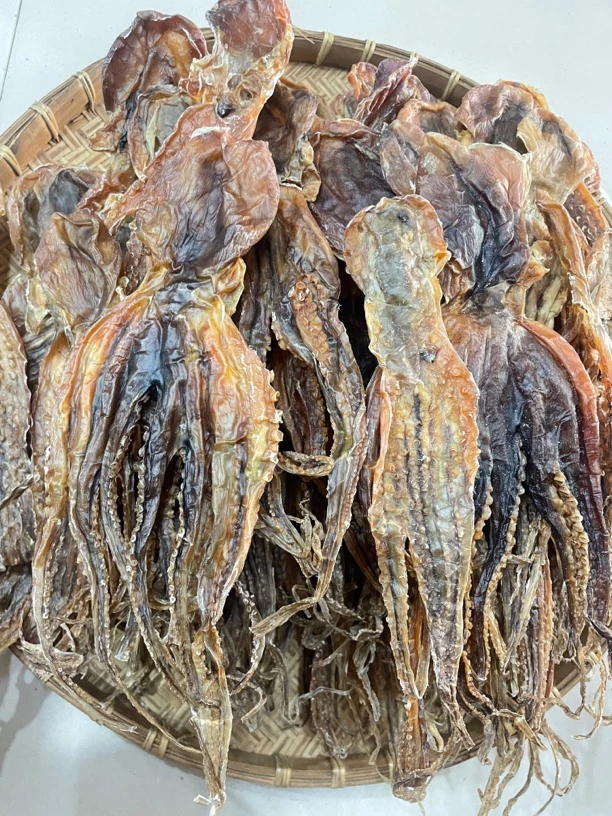 北海船晒章鱼干「猪奶章」补奶，宝妈煲汤