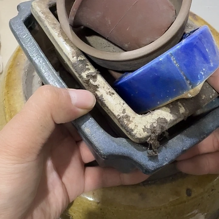 踢***尺扇子吃h还有一哈哈哈哈哈哈哈哈