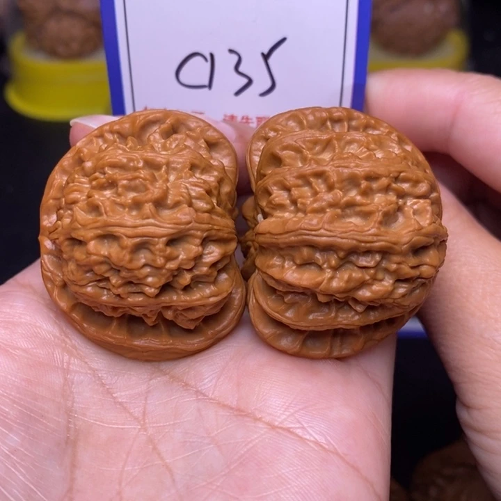 把件文玩核桃42白狮子c135