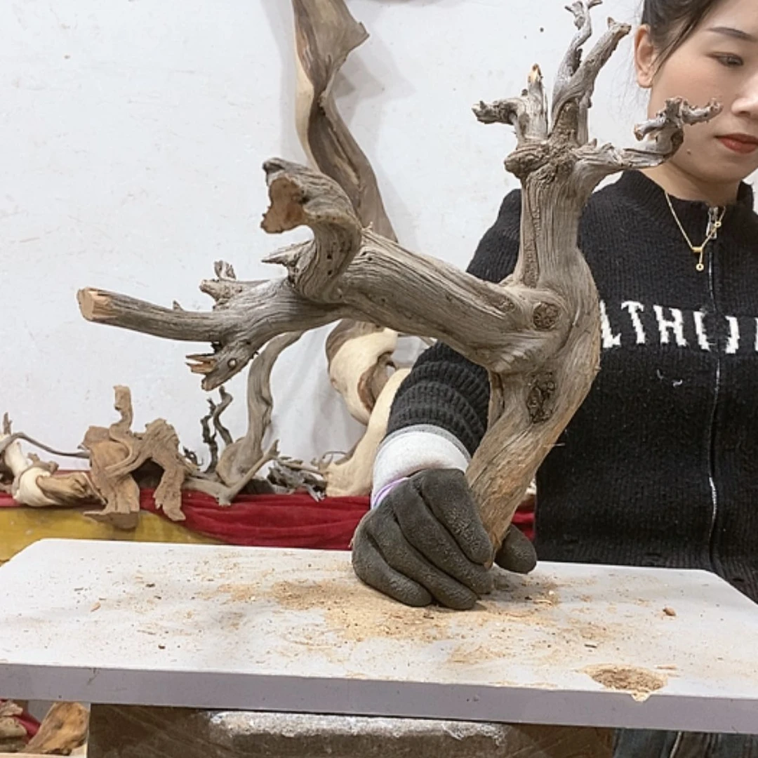 【闪购商品】柏木杨我们都是好孩子