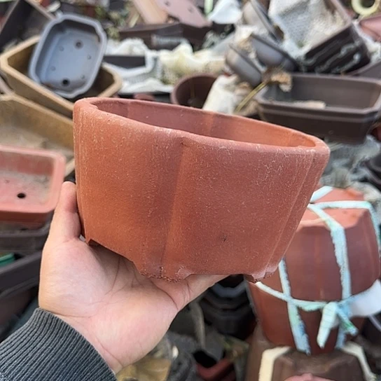 是一个不知名作家与著名导演兼电影演员们