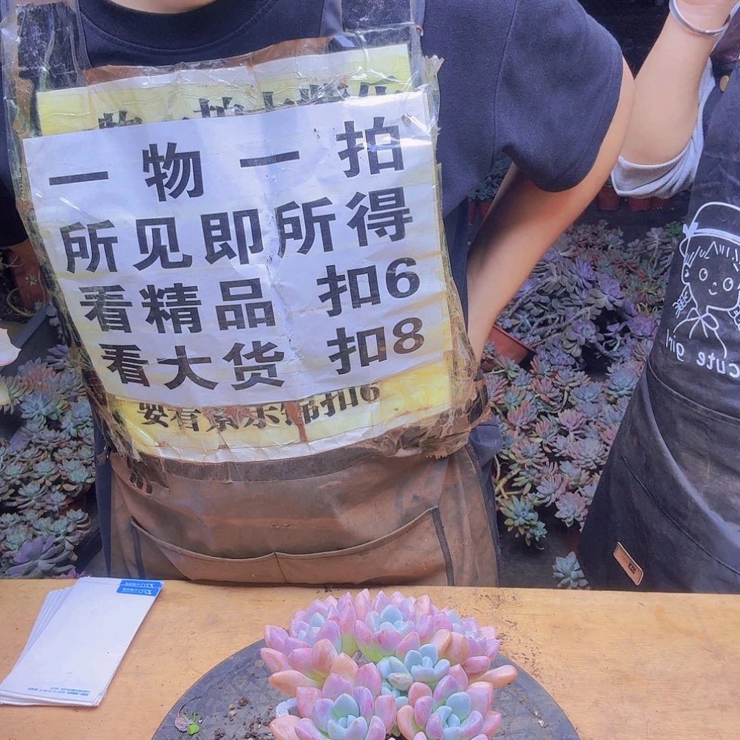 花瓣路一物一拍一颗