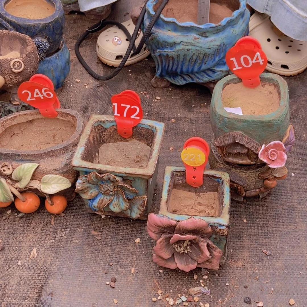 脑***。花盆5个。