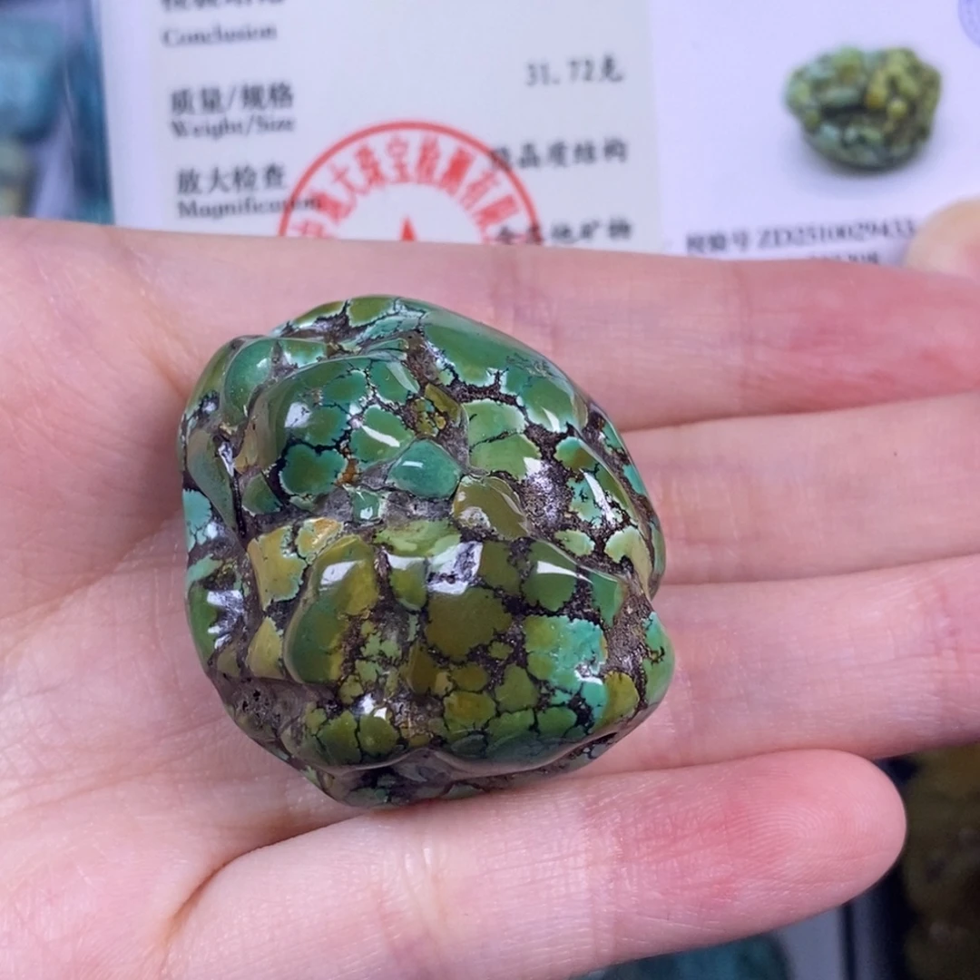 绿松石未镶嵌颈饰