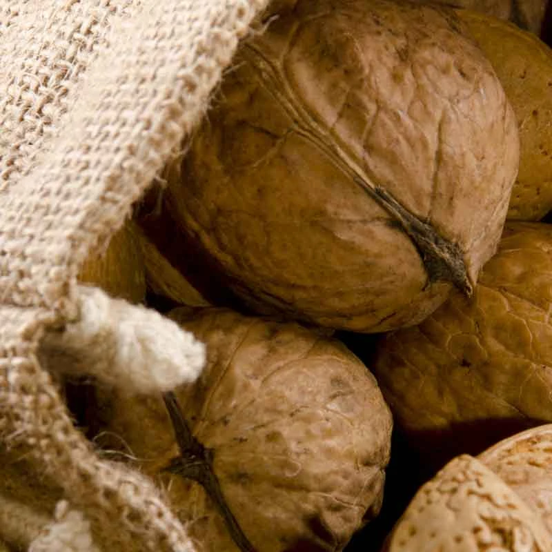 农家山货干果当季新果