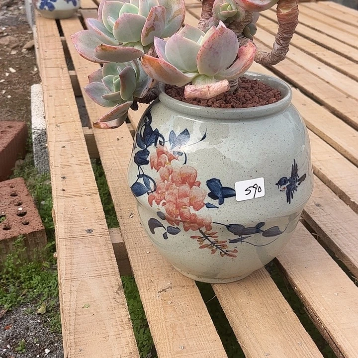 舞***言590血凤脱土发贷不退不换