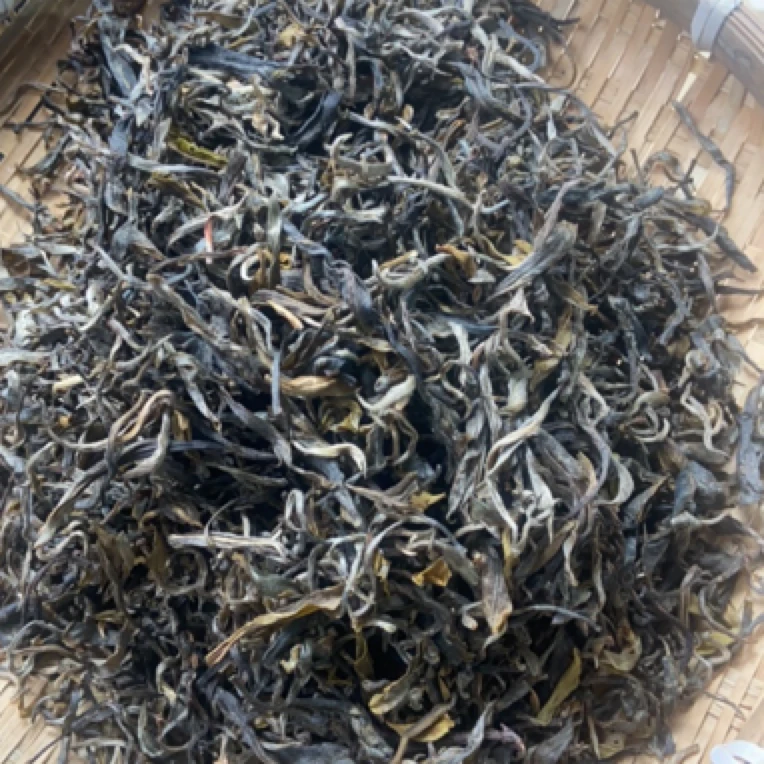 2024年【倚邦·中小叶种春】普洱生茶散茶晒青茶-2月26日【14号】