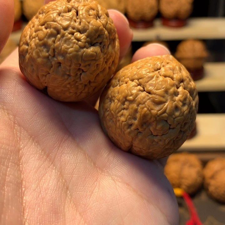 把件文玩核桃37脑纹