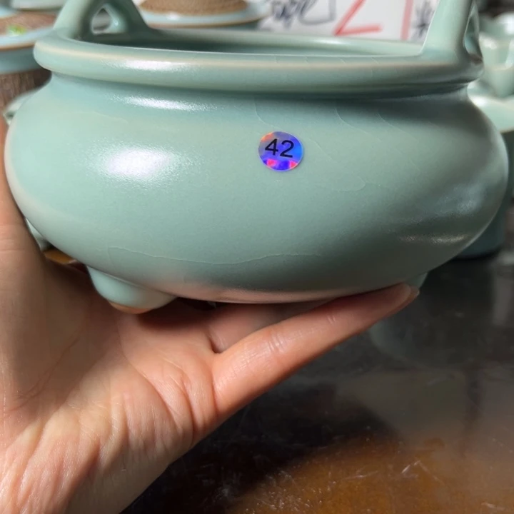 42号高乐可可可可可可可可咯哦