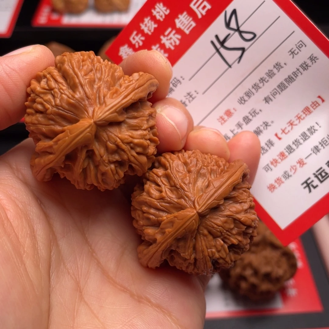 文玩核桃把件白狮子41尺