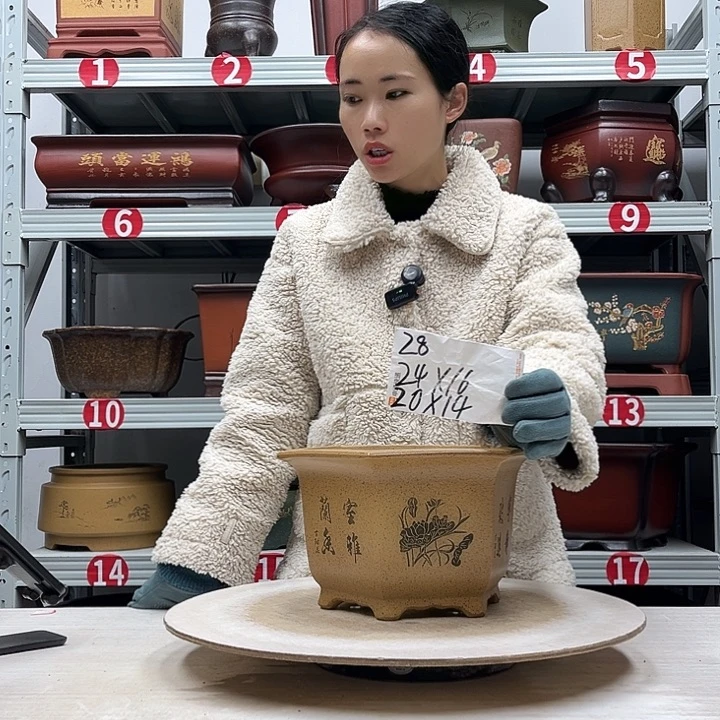 紫砂花盆紫砂花盆