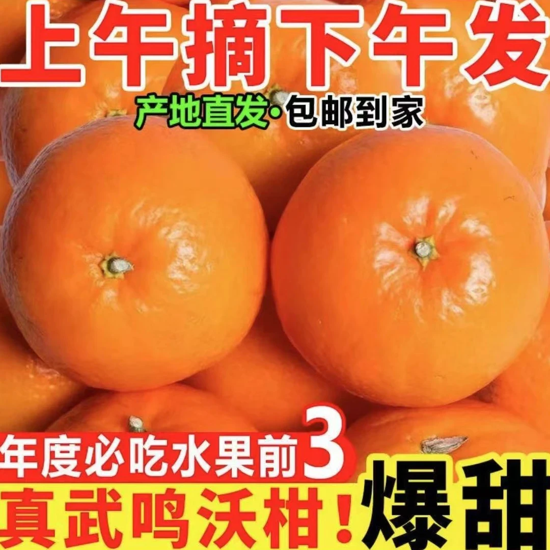 正宗广西武鸣沃柑新鲜当季水果柑橘皮薄肉厚汁多整箱包邮坏果包赔