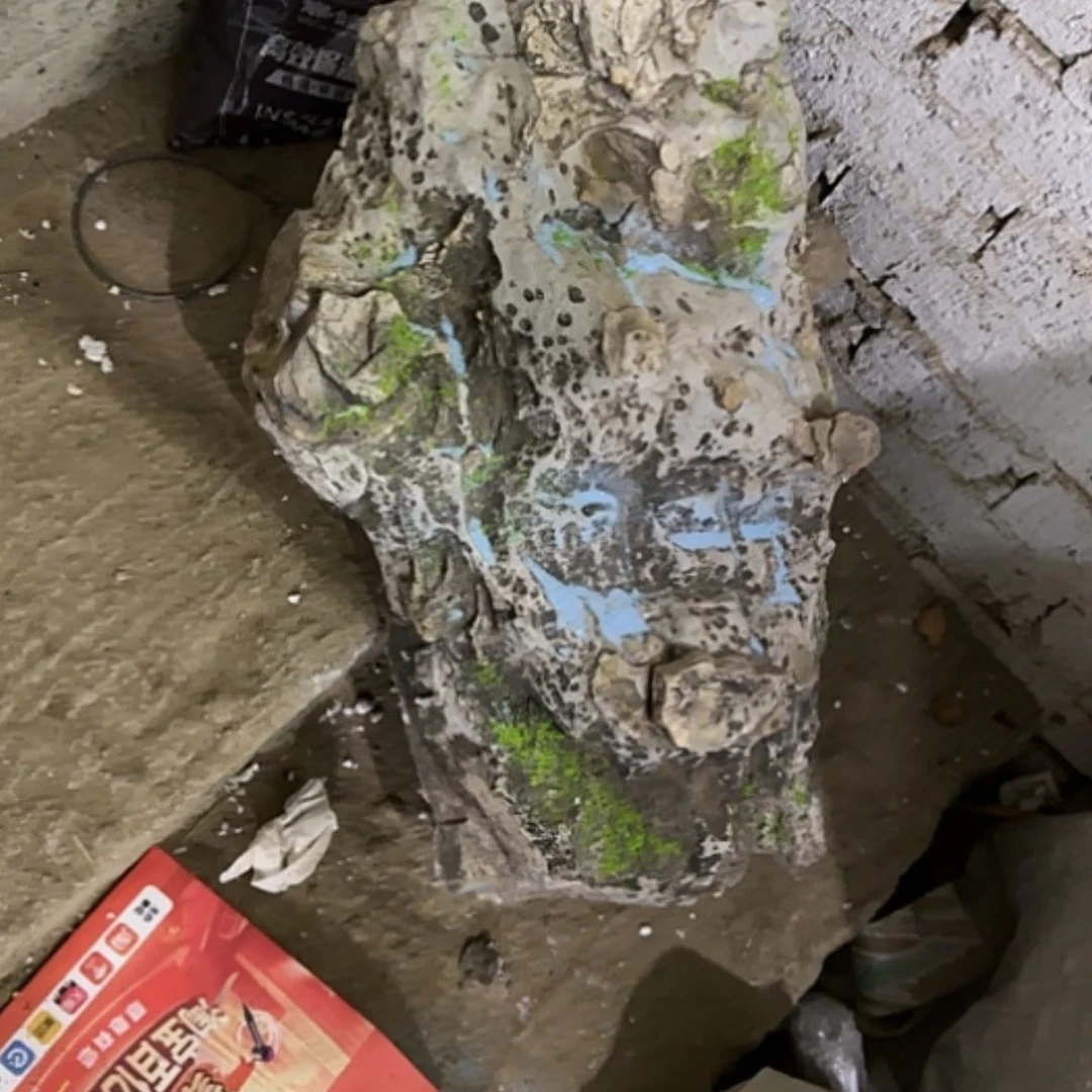 【闪购商品】香榧木君****）在一起真的是太可爱咯来咯哦
