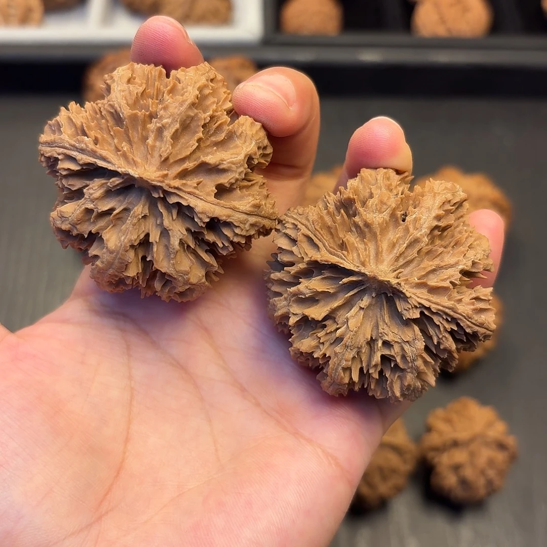 核桃突突突突突突突突突突突
