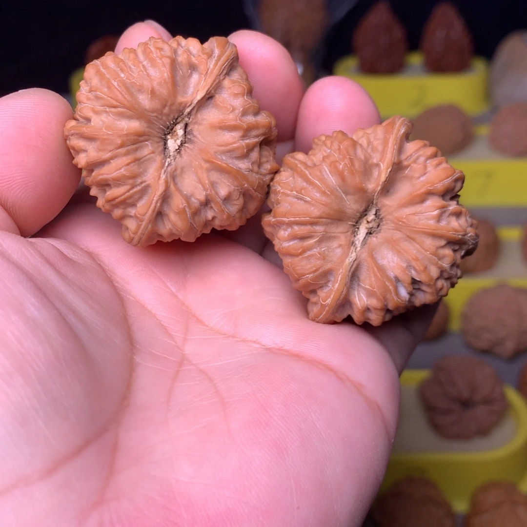 大叶紫檀（黑酸枝木类）平谷聚宝盆