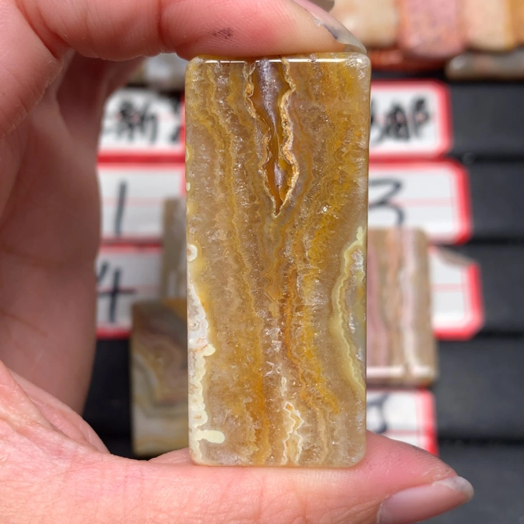 【闪购商品】未镶嵌颈饰硅化玉?