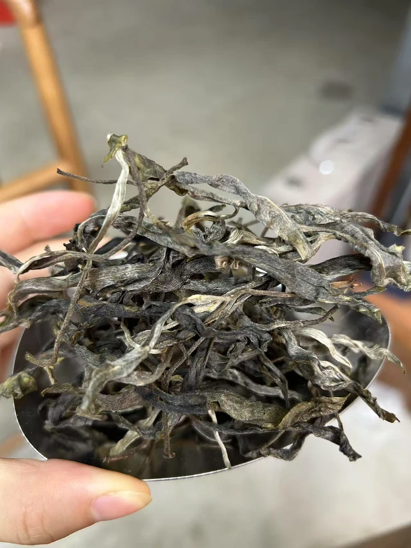 冰岛老寨65号2025年古树夏生茶散料