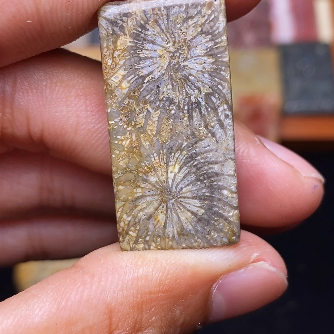 喜***七合金珊瑚玉硅化玉