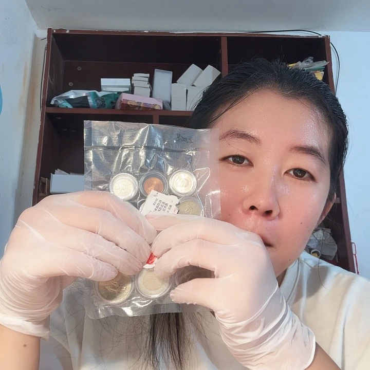 其他普通金属硬币，套装13枚，部分流通品