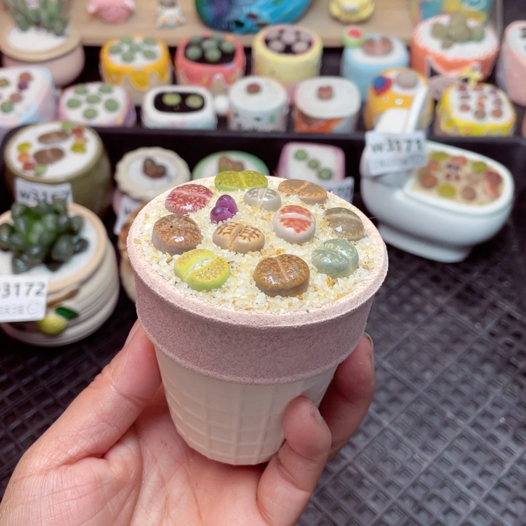 w3174 -零下地区拍保温箱-15支持寄养