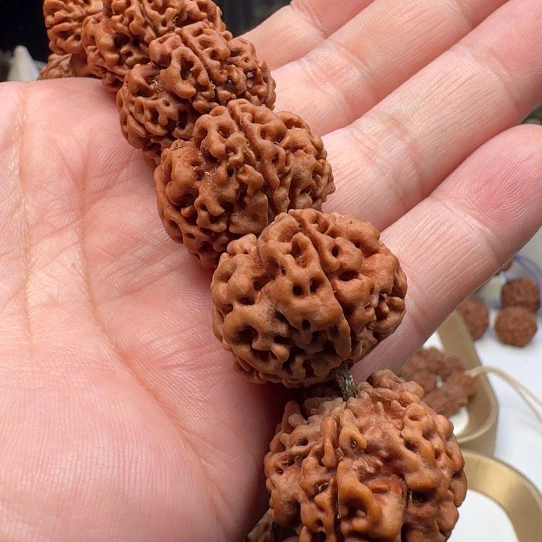 伟***哥金刚菩提手串梁粗筋