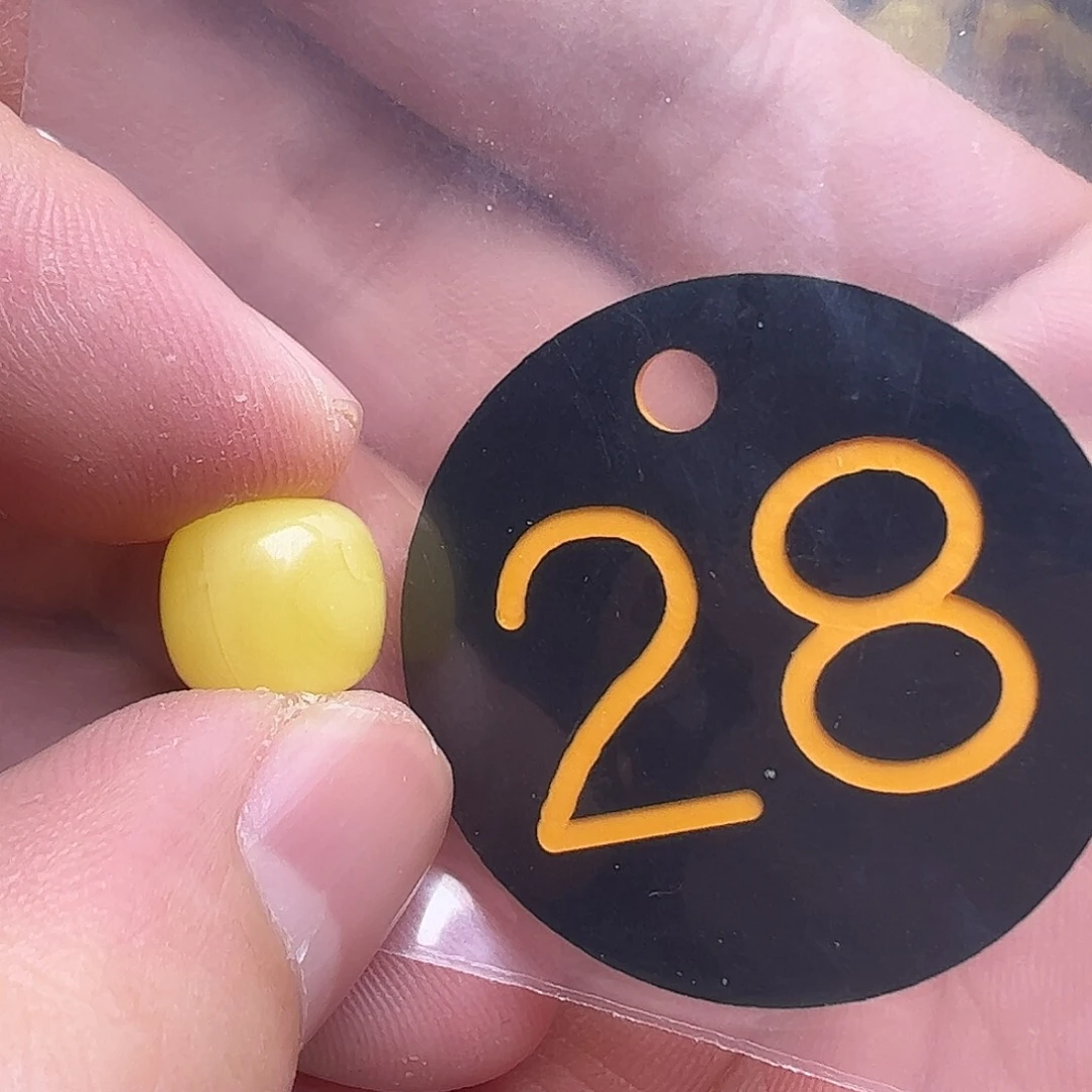 蜜蜡未镶嵌珠宝奇石10.9mm