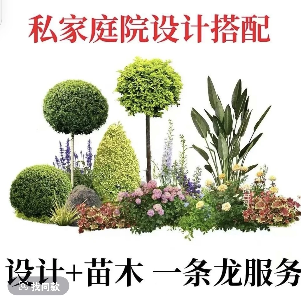 花园花境植物搭配设计打造绝美花园景观