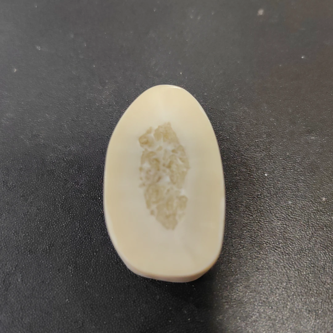 猛犸秋猛犸饼子GG218