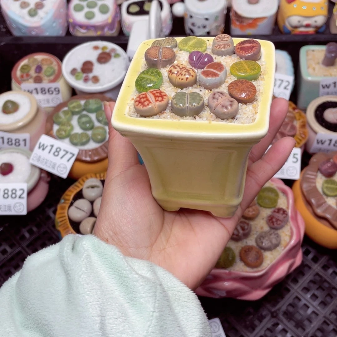 w1883 -零下地区拍保温箱-15支持寄养