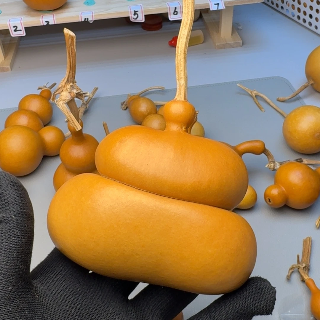 大***行葫芦葫芦葫芦葫芦