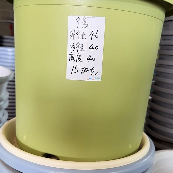 四季9号果绿无托4个特价微瑕