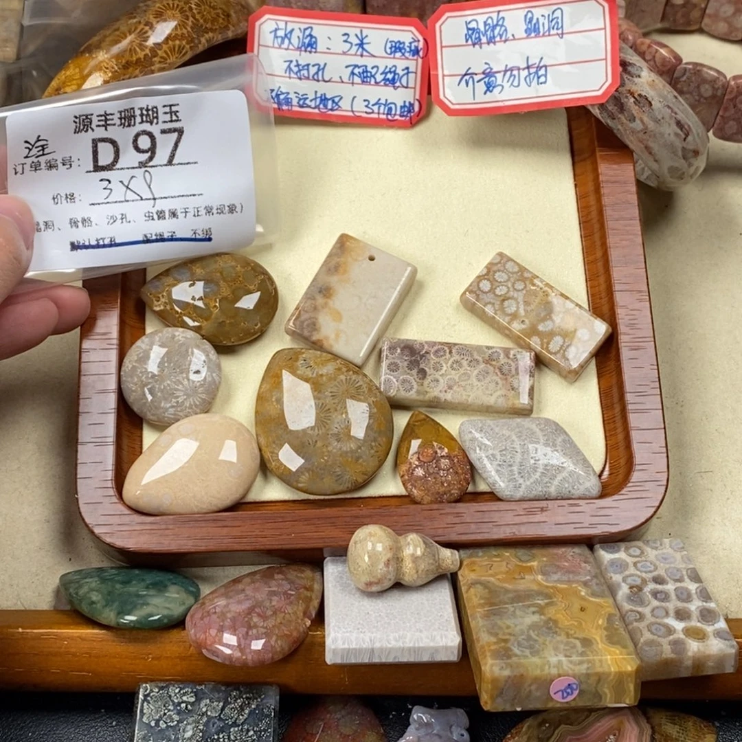 诠***诠硅化玉未镶嵌颈饰